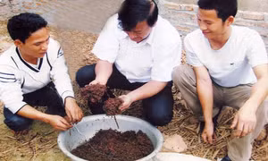 Hà Nam