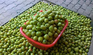 Sơn La