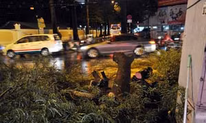 TP Hồ Chí Minh 