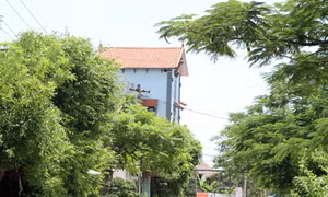 Nam Định