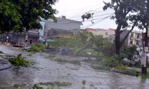 Quảng Ninh xuất hiện lũ quét ở miền núi