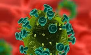 Thử nghiệm thành công phương pháp tách virus HIV khỏi tế bào người 