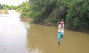 Đánh cược với tử thần 