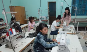 Chỉ đào tạo nghề nông thôn khi có việc làm cho người học
