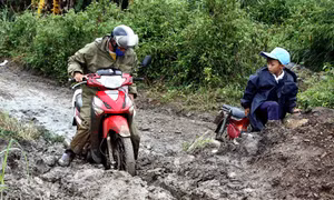Lâm Đồng
