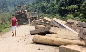 Bình Phước