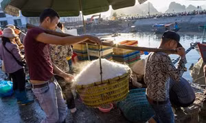 Quảng Ninh