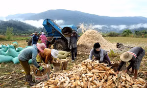 Khởi sắc ở huyện miền núi Tánh Linh