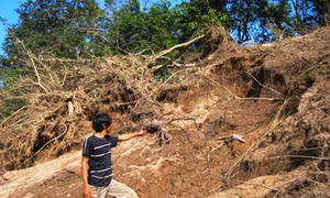 Lâm Đồng