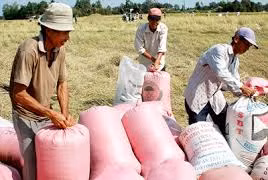 Hậu Giang