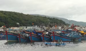 Bình Định