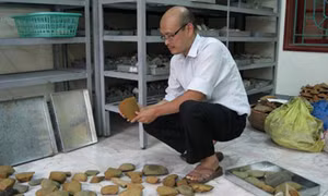 Gia Lai