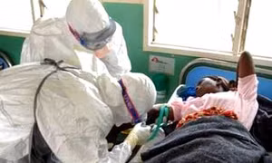 LHQ họp cấp cao về dịch Ebola 