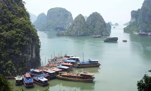 Quảng Ninh