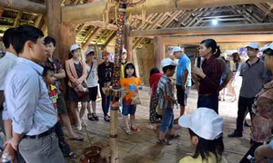 Hướng dẫn các loại hợp đồng về điều kiện hành nghề Hướng dẫn viên