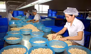 10 tháng, Việt Nam xuất siêu 1,87 tỷ USD 