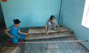 Về làng chiếu Triêm Tây