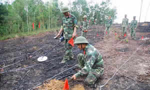 Diễu hành kỷ niệm Ngày thế giới phòng chống bom mìn ở Quy Nhơn