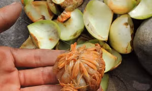Lai Châu