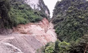 Quảng Ninh