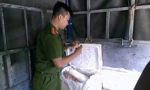 hà nội