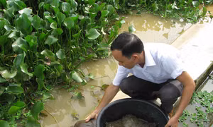 Hậu Giang
