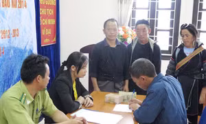 Xử lý các nhà máy thủy điện nhỏ chây ỳ