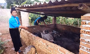 Bản Giáng mong không còn '3 không'