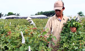  Hà Nội