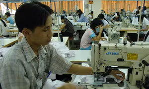 Doanh nghiệp chủ động nguồn nguyên liệu