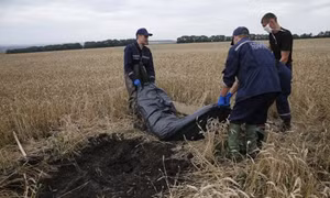 Tìm được 251 thi thể vụ máy bay MH17 