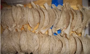 Quảng Trị