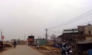 Xây nhà ở trong hành lang bảo vệ đê