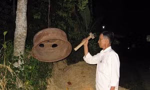 Thừa Thiên - Huế 