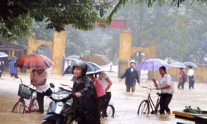 Bão số 3 gây đổ hàng ngàn ha lúa