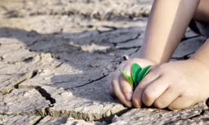 “Biến đổi khí hậu qua ảnh”