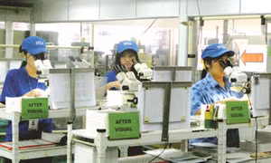 Kiên quyết xử lý lao động bỏ trốn tại Hàn Quốc