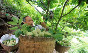 Lạng Sơn