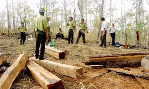 Đắk Lắk