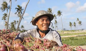 Quảng Ngãi