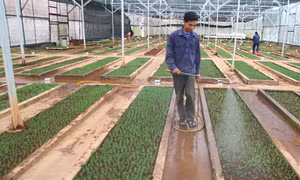 Giải pháp “cứu” nguồn đất thoái hóa 
