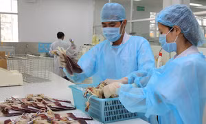 Tư nhân không được phép tham gia thành lập các trung tâm về máu 