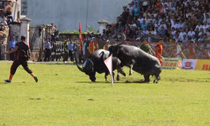 Hải Phòng