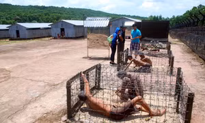 Tri ân những anh hùng liệt sĩ nơi “địa ngục trần gian” 