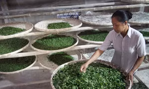 Cao Bằng