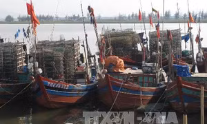 TP. Hồ Chí Minh