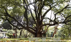 Đắk Lắk
