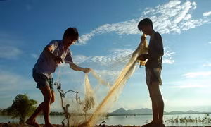 Nhớ về mùa cất vó