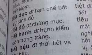 Nhà xuất bản Trẻ nhận trách nhiệm vụ từ điển 'nhảm' 