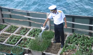 Chiến sỹ Trường Sa tăng gia